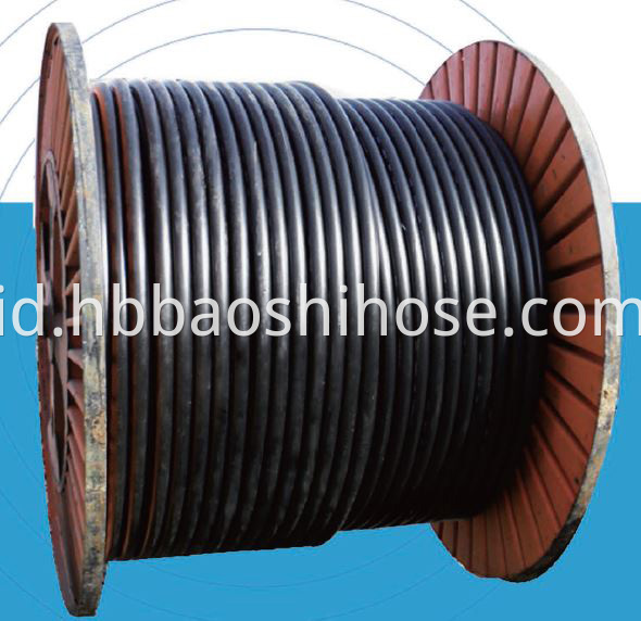 Composite Gas Hose